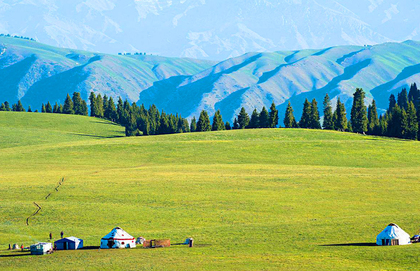 Yili Tours